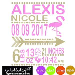 Baby Girl Stork Birth Announcement svg dxf eps png Digital Cutting Design- Instant Download- Vector File Graphic Design