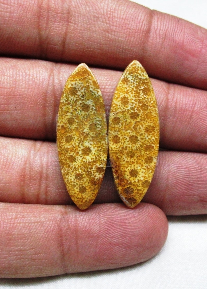 Fossil Coral Pair Fossil Coral Cabochon Loose Fossil Coral Gemstone Size 12 x 34 x 4 mm Designer Matching Earrings Pair ET 6093