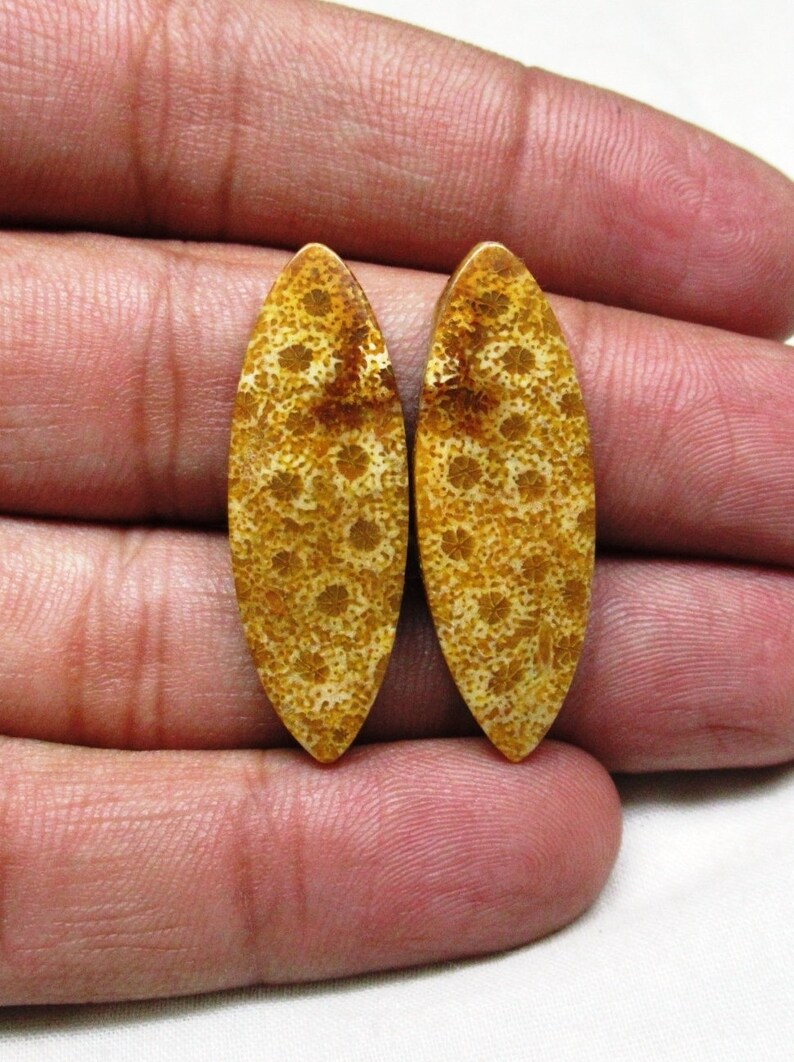 Fossil Coral Pair Fossil Coral Cabochon Loose Fossil Coral Gemstone Size 12 x 34 x 4 mm Designer Matching Earrings Pair ET 6093