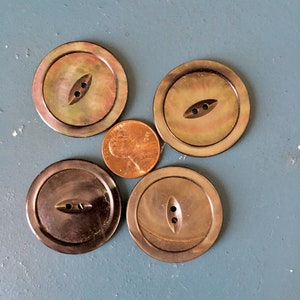 May include: Four large, round buttons with a pearlescent sheen, arranged around a penny. The buttons have a central oval-shaped hole for sewing. The buttons vary in color from dark brown to iridescent green and gold.