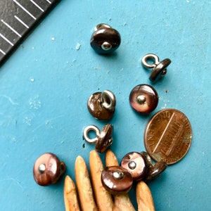 May include: A collection of small, brown buttons with a pearlescent sheen and silver loops. Each button has a small, silver center. A penny is included for size comparison. The buttons are scattered on a light blue surface.