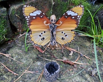Monarch Mimic Supernatural Creature Weird Taxidermy of a Dead Fairy Now Ready for Your Collection of Oddities and Curiosities