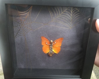 Halloween Fairy with Spiderweb Background Shadowbox