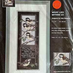 May include: A Dimensions counted cross stitch kit with a framed design of birds on branches. The kit includes cotton thread, a 14-count black Aida, a thread palette, needle, and instructions. The finished design measures 15 x 38 cm.