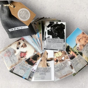 Gotcha Day New Dog Milestone Cards - lot de 18 dans un sac cadeau fait main