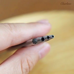 以下が含まれることがあります： 3つの小さな円形の開口部がある銀色の金属工具のクローズアップ。工具の端には星型のデザインがあります。「Charlene」の文字が右上隅にあります。工具は人の手で持たれています。