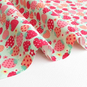 1/2 yard Yuwa Atsuko Matsuyama Japan | Fancy Berry | AT829719 Color D Mint x Red