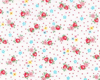 1/2 yard Yuwa Atsuko Matsuyama Japan - Petit Berry - AT826346 - Colorway D