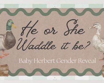 Duck Gender Reveal Banner