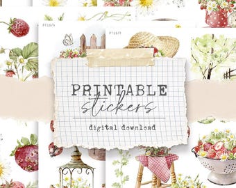 Printable decorative stickers - for planners, bullet journal, journals, scrapbooking (PT18)  Strawberry theme - digital download