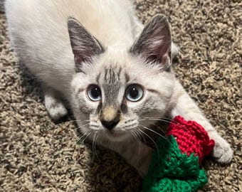 Catnip Crazies Rose Cat Toy, Handmade, Organic Catnip, Cotton Yarn, Jingle  Bell, Kitty Toy