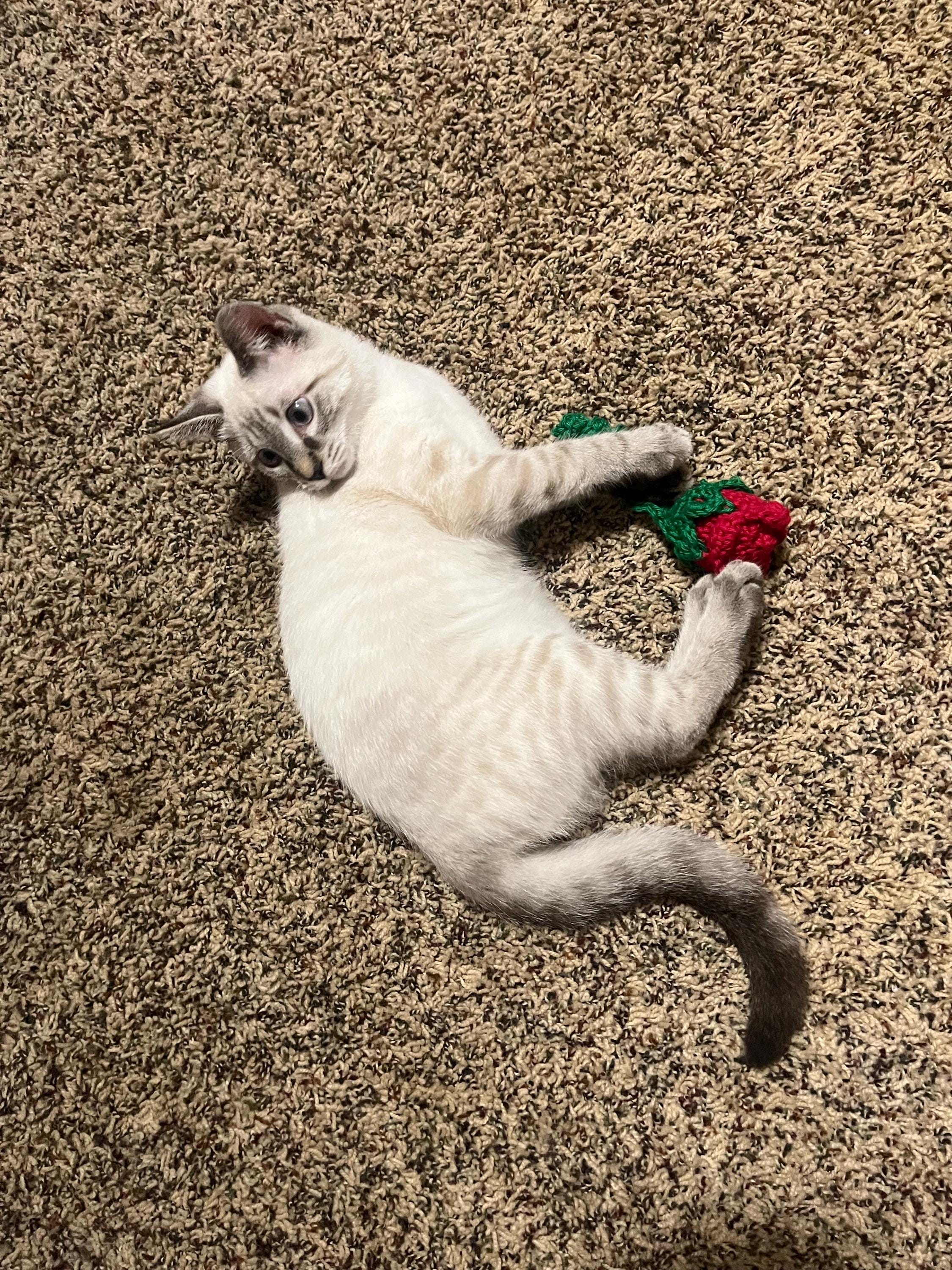 walmart rose cat toy Kid Connection Electronic Walking Pet Caticorn, 11in Height, Toddler Plush Toys main image 0