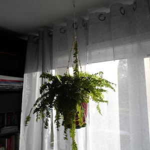 white macrame cord plant hanger for your house plants