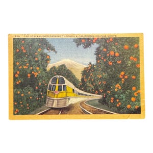 Peut inclure: Carte postale vintage représentant un train profilé jaune et argenté traversant une orangeraie californienne. Le texte en haut indique "THE STREAMLINER PASSING THROUGH A CALIFORNIA ORANGE GROVE."