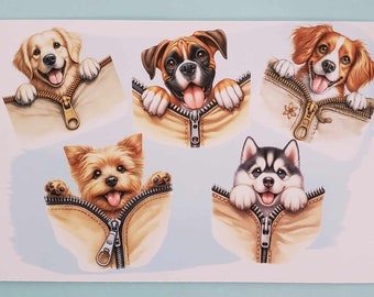 Dog pocket postcard cute dogs postcards