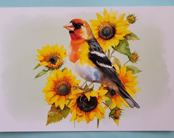 Goldfinch sunflower postcard bird postcards sunflowers