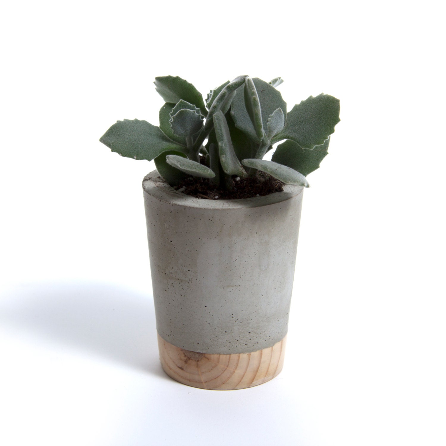 Mini Béton Planteur - Pine Base