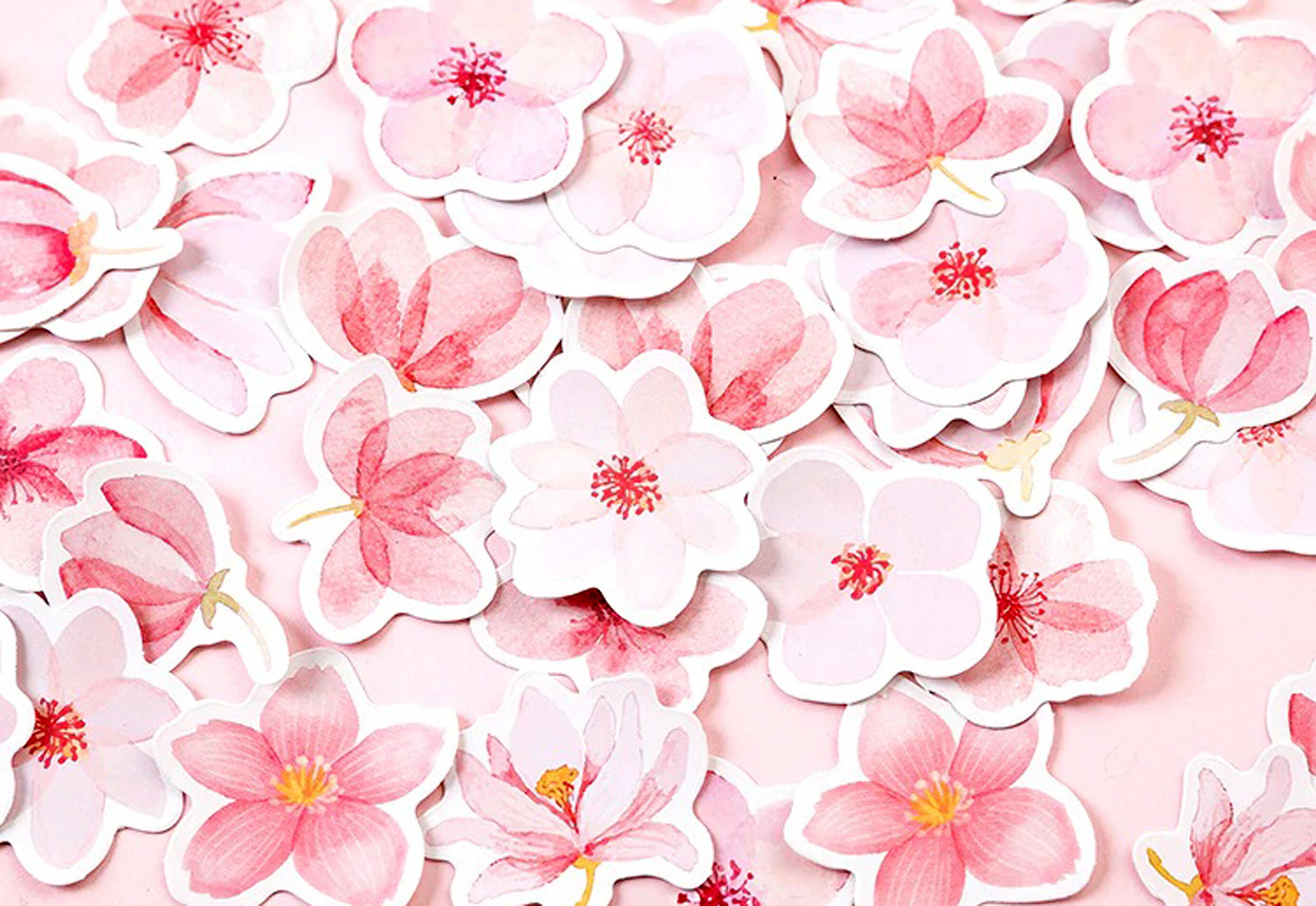 Sakura Flower Stickers Pink Petal Floral Japanese Tree Garden Etsy