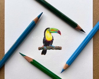 Tukan tęczowy, rysunek oryginalny, rysunek miniaturowy, sztuka ptaków, sztuka tukana, dekoracja z tukana wielkiego, miniaturowa sztuka, drobne dzieło sztuki, kolory tęczy