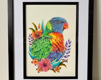 Originele regenboog lori-potloodtekening, ingelijste kunstwerken, vogelkunst