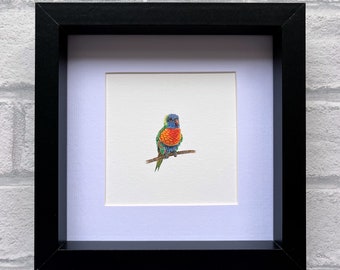 Loriquet arc-en-ciel, dessin original, dessin miniature, art oiseau, perruche, perroquet, cadre carré noir, mini oeuvre d'art, petite oeuvre d'art, mini peinture