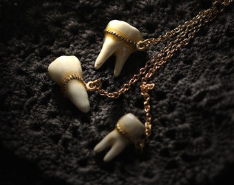 The Tooth set Necklace by Defy/Hand - Painting Version/Tooth Necklace/ Unique design/Dark style accessories