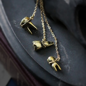 Three Tooth Necklaces by Defy / Fangs Charm Pendant / Anatomical Jewelry