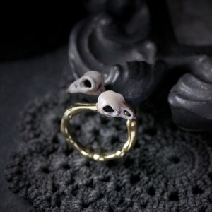 Birds Skulls Painting Ring,Animal Skull Ring,Skulls Ring,Animal Skeleton Jewelry