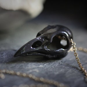 Raven Skull Necklace - Black Version by Defy , Anatomical Animal Skull Charm Necklace
