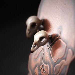Bird Skull Stud Earrings,Painting Bird Skull Earring,Skull Bird Earrings,Skull Earrings,Skull Studs