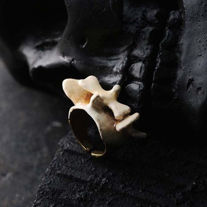 Backbone - painted version - Ring by Defy , Anatomy Ring , Unique design jewelry