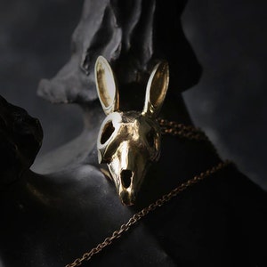 Collar con dije de calavera de conejo de Defy / Colgante de latón con dije de calavera de conejo