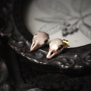 Puede incluir: Un par de peque&ntilde;os pendientes de calavera de p&aacute;jaro de cer&aacute;mica blanca con postes dorados. Los pendientes se muestran sobre un fondo negro.