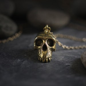 Könnte beinhalten: Eine goldene Totenkopf-Halskette. Der Totenkopf ist detailliert und hat ein realistisches Aussehen. Die Kette ist an einer Kette.