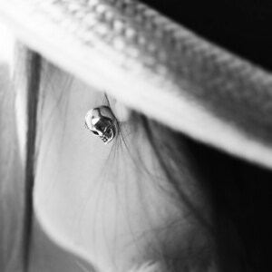 Puede incluir: Un primer plano de un pendiente de calavera de plata. El pendiente es peque&ntilde;o y delicado, y lo lleva una persona con el pelo largo.