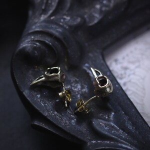 May include: A pair of silver bird skull earrings with gold posts. The earrings are on a dark, textured surface.