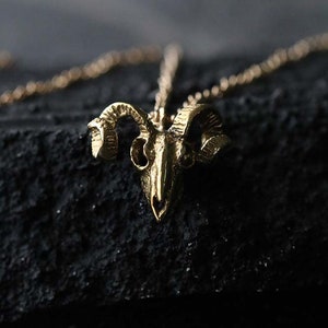 The Goat Skull (Small size)Necklace original design and made by Defy /Unique design and Dark style jewelry