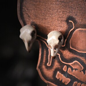 Puede incluir: Un par de pendientes de calavera de cer&aacute;mica blanca sobre un fondo de calavera marr&oacute;n.