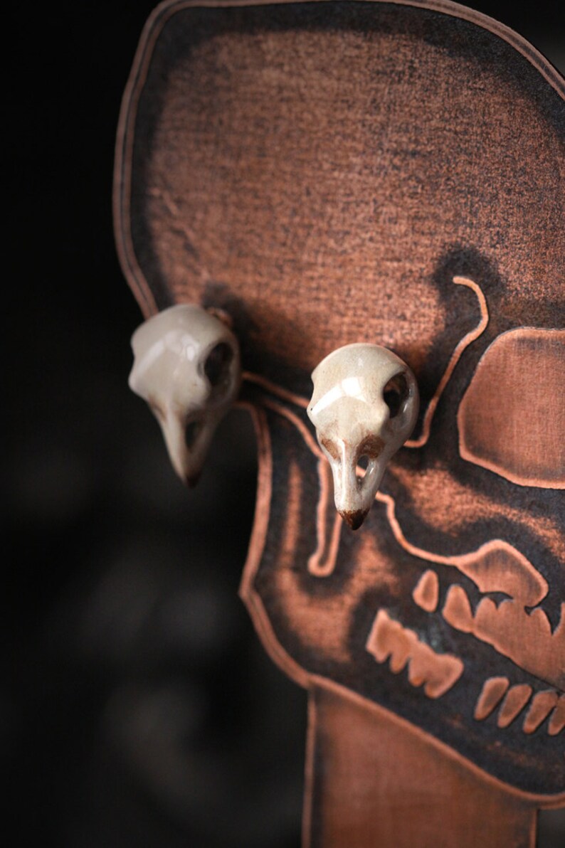 Puede incluir: Un par de pendientes de calavera de cer&aacute;mica blanca sobre un fondo de calavera marr&oacute;n.