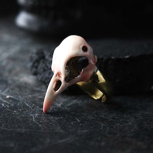 Bird Skull Ring/Pink pastel - Handcraft Painted Version by Defy - Raven Skull Ring - Statement Ring Adjustable Size