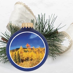 ColoRADo Aspens in Fall Christmas Tree Ornament