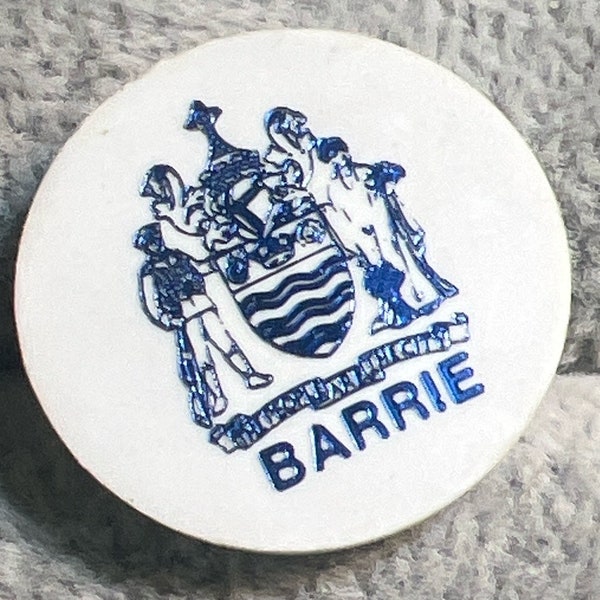 Vintage Plastic Barrie Pin (A1507gr)