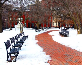 Snowy Benches in Lafayette Square, Washington DC, United States, Travel Photography, Print