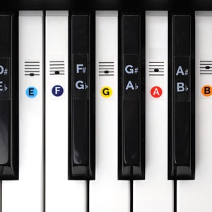 Color Piano Keyboard Sticker Set image 1