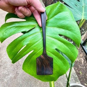 Cocobolo RoseWood Cooking Staulas/Scrapers Cooking/Serving Wooden Spoons