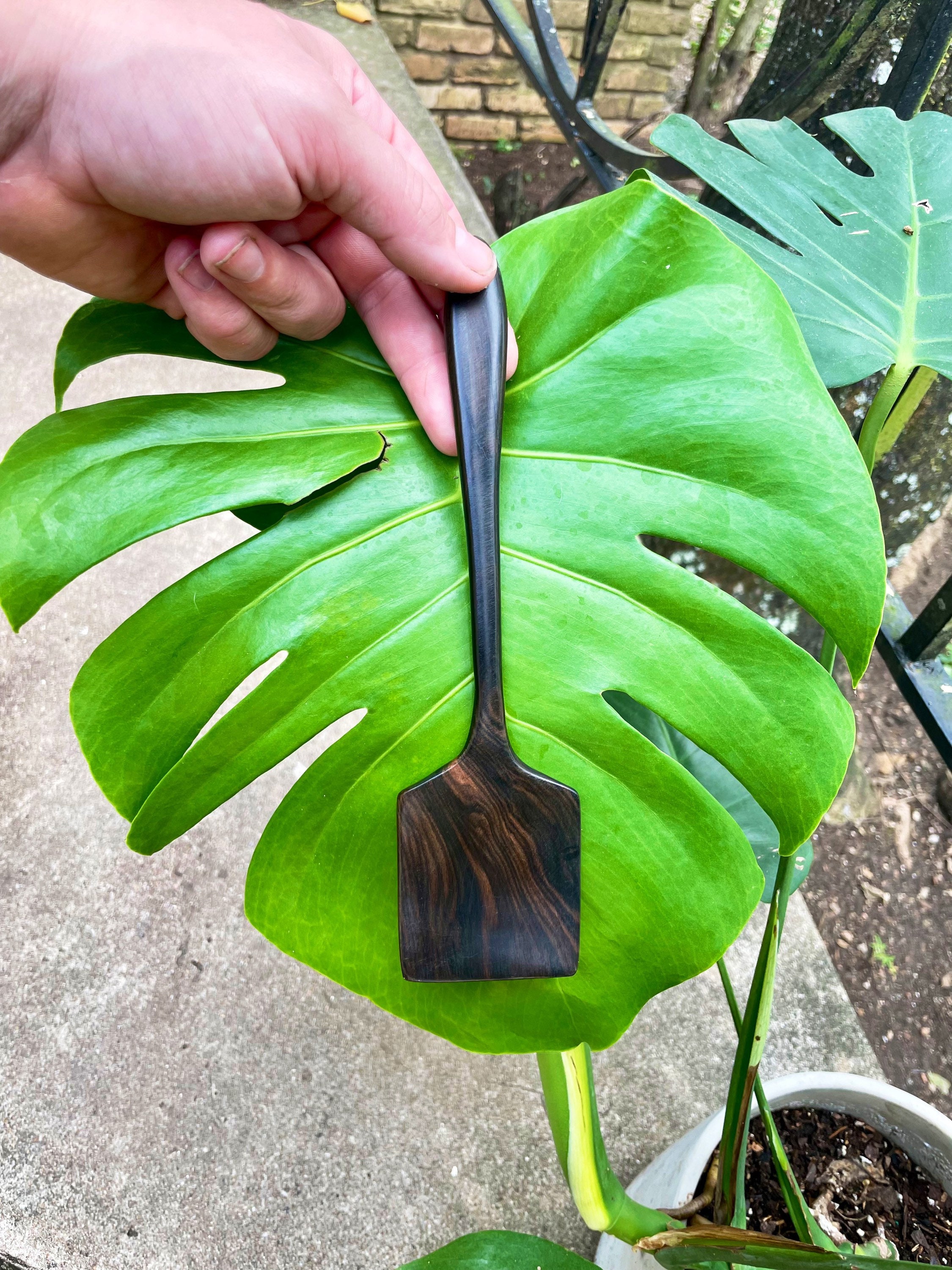 cocobolo rosewood cooking staulas/scrapers cuisson/service cuillères en bois