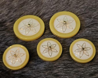 1960's Carved Lucite Fur/Jacket Buttons. Set of Five. USA.