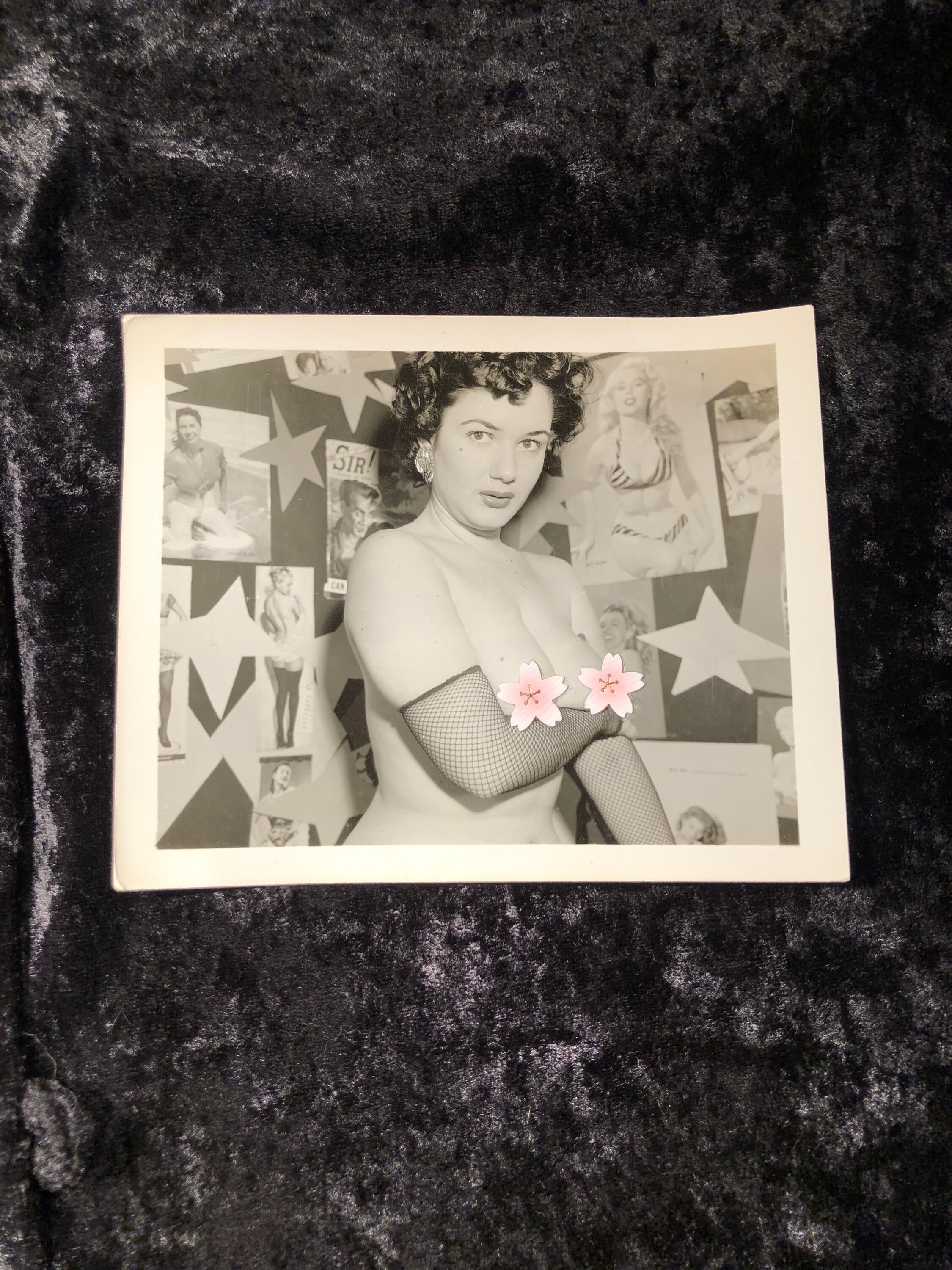 gallery photo