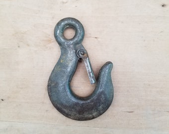 Cast Iron Eye Hoist Hook with Latch