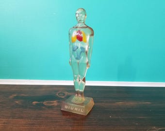 Merck Sharp & Dohme "Diuril Man" Plastic Pharmaceutical Anatomical Model. 1958. USA.
